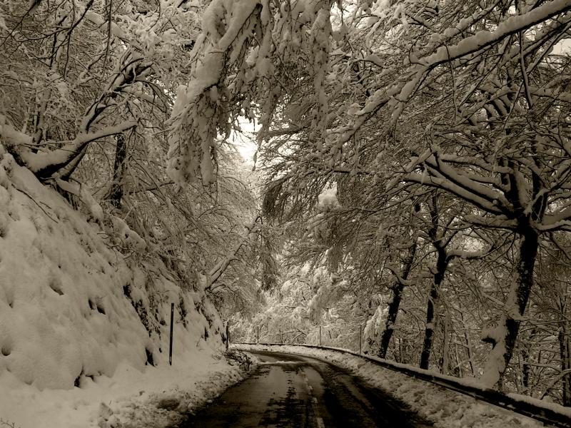 Caminos nevados. (Francisco Lera Fernández)