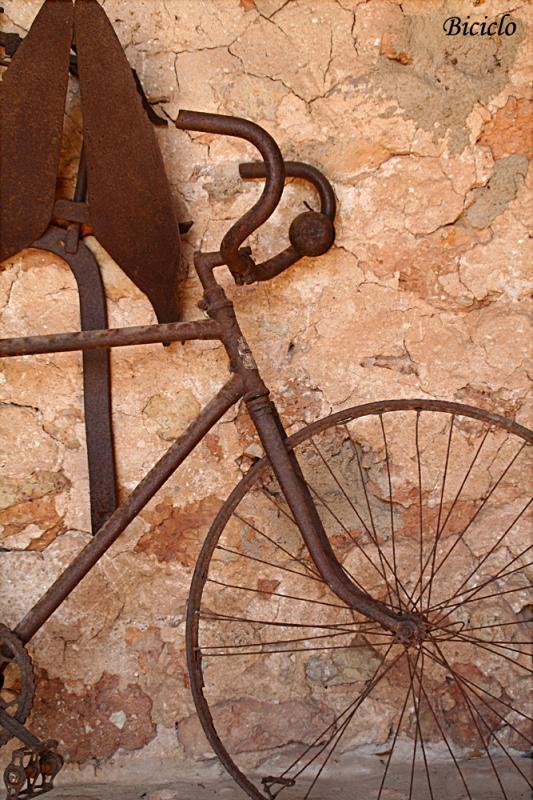 Biciclo (BARTOLOME MORRO CURTO)