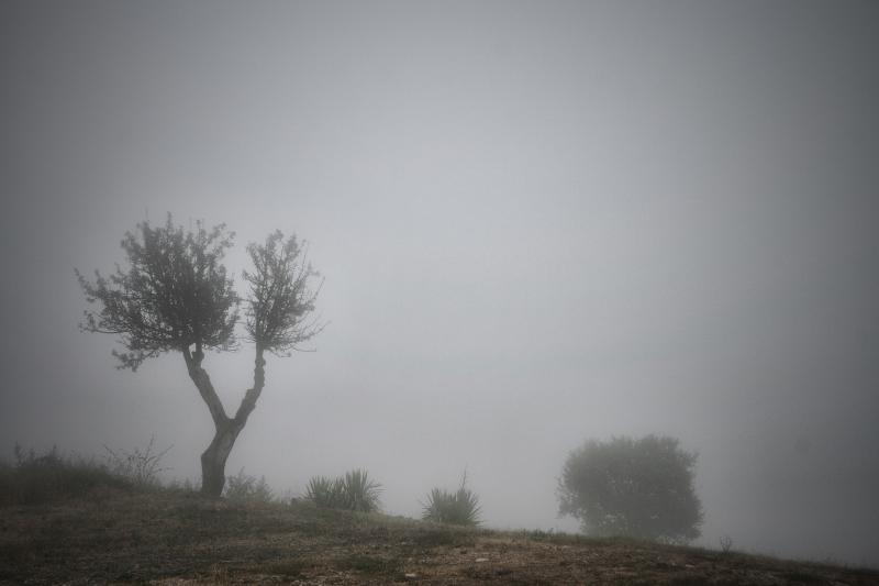 Niebla (José-Angel Sáez-Díez)