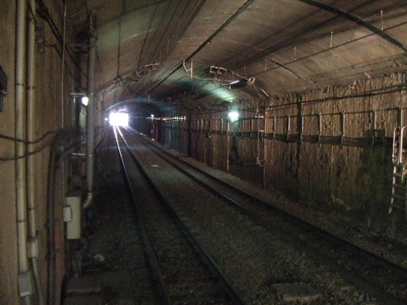 Al final del tunel (Julián Nuévalos Montés)