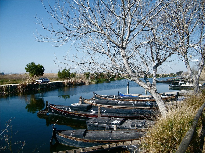 barcas del puerto de Catarroja (ivan cebellan sanchez)