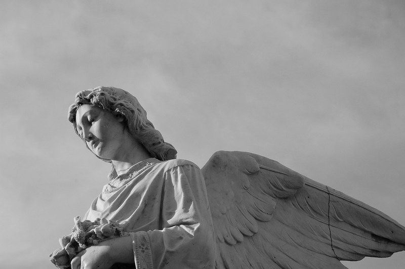 ángel (Claudia Tijerino Sarria)