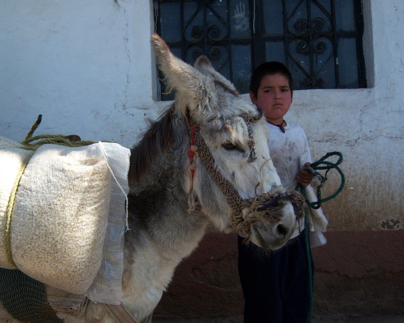 El niño y su burro (Franklin Elías Rivera Chan)
