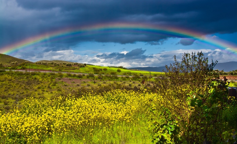 El arco iris del sur (FERNANDO MONTALVO MONTALVO)