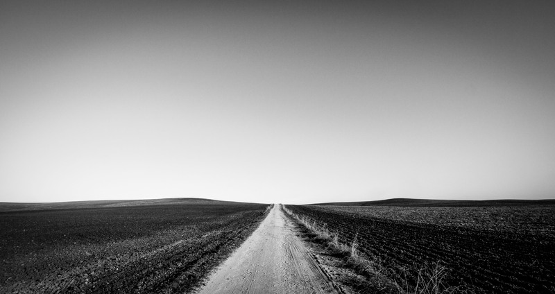 Long way to nowhere (Alvaro Toledo Arana)