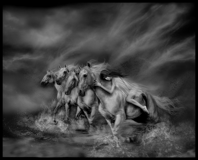 Wild horses (Raul Villalba)