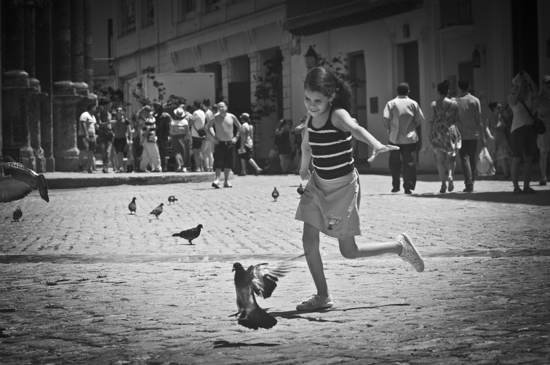 Plaza de las palomas (1) (Kenny Ocampo Casares)