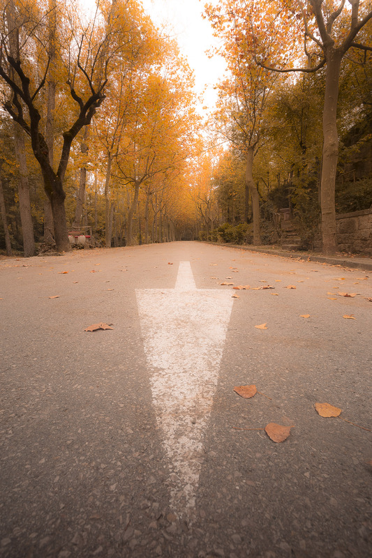 Autumn path (Marc Santaeularia)
