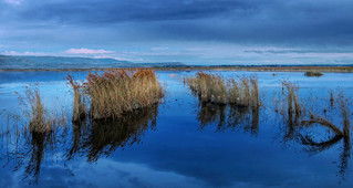 Anocheciendo en la Laguna... Pitillas (Navarra) (JLuis San Agust&iacute;n)
