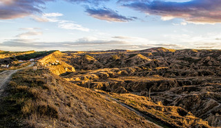 Laderas de Caparroso... **Navarra** (JLuis San Agust&iacute;n)