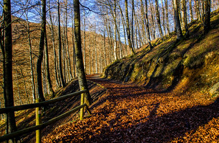 Paseos por los embalses de Leurtza   (Navarra) (JLuis San Agust&iacute;n)