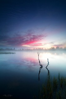 misty dawn on the wild northern lake (Aleksandr Matveev)