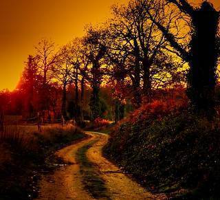 Autumn sunset in Haute Vienne (Philip Wood Photography)