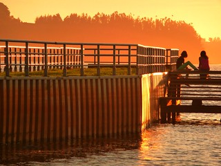 Puerto Dominguez (Araucan&iacute;a, Chile) - H&aacute;blame de soledad&hellip; (caminanteK)