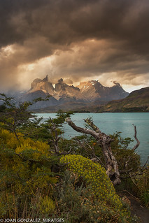 EXTASIS PATAGÓNICO (Joan González_Miratges)