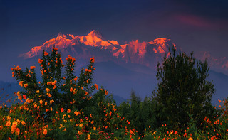 Himalayan sunset (Explore) (yan08865)