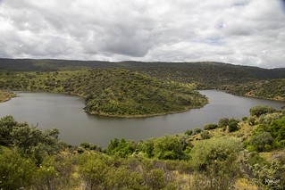 Parque Nacional de Monfragüe, Tres Caños, meandro del Tiétar - JosCar-250424-14 (196) (José Carlos Cabello)