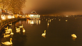 Swan Lake (S_Sotomonte)