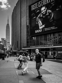 tequila NY (ROGOdesign)