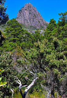 Cradle Mountain, Tasmania, Australia. (Philip Wood Photography)