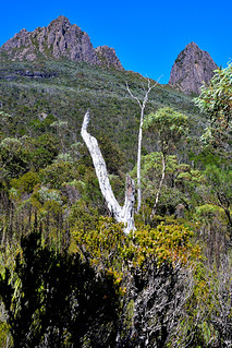 Cradle Mountain, Tasmania, Australia. (Philip Wood Photography)