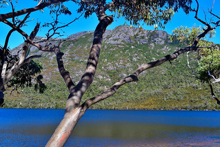 Cradle Mountain, Tasmania, Australia. (Philip Wood Photography)
