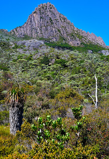 Cradle Mountain, Tasmania, Australia. (Philip Wood Photography)