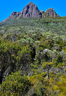 Cradle Mountain, Tasmania, Australia. (Philip Wood Photography)