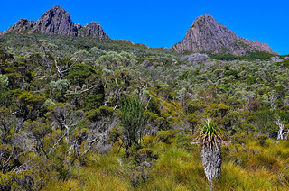 Cradle Mountain, Tasmania, Australia. (Philip Wood Photography)