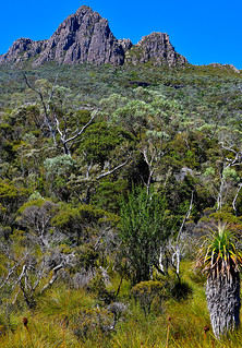 Cradle Mountain, Tasmania, Australia. (Philip Wood Photography)