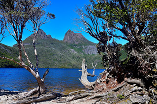 Cradle Mountain, Tasmania, Australia. (Philip Wood Photography)