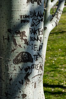 Para Siempre (Nebelkuss)