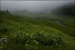 No plou, ni fa sol (fotopsia.cat)