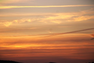 IMG_0248 (avempace2)