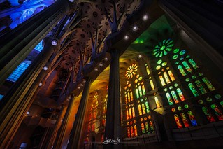 Arte con luz (Jose Vte. Blay)