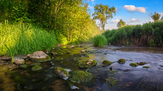 Morning on the Iruzha River (Aleksandr Matveev)