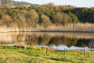Laguna Bodeira (S_Sotomonte)