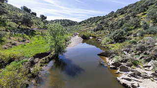 Monfrag&uuml;e (S_Sotomonte)