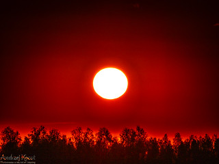 The sun is where we are (Andrzej Kocot)