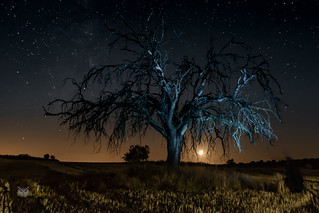 Luna de septiembre (Pablo y Juli&aacute;n)