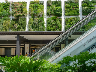 Jard&iacute;n vertical. (J.G.Sansano)