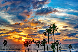 O'Side Beautiful Sundown 80D 24X105mm (rod1691)