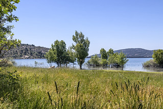 Naturaleza inundada (3) (lebeauserge.es)