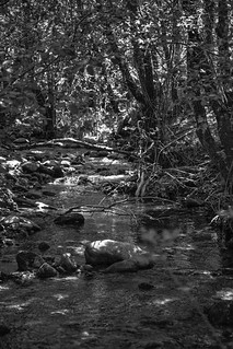 R&iacute;o Navacerrada (lebeauserge.es)