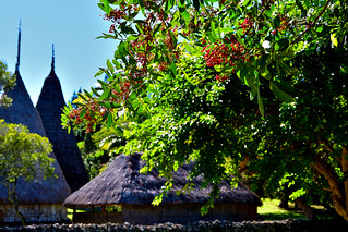 Noumea, New Caledonia. (Philip Wood Photography)