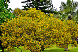 Canons de Ou&eacute;mo, Noumea, New Caledonia. (Philip Wood Photography)