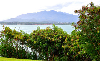 Canons de Ou&eacute;mo, Noumea, New Caledonia. (Philip Wood Photography)