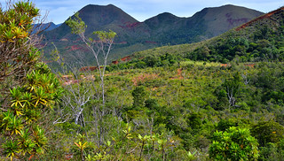 Cochons Trailhead, New Caledonia. (Philip Wood Photography)