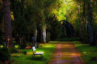 Lone bench at the graveyard (Been there Arty Grierson)