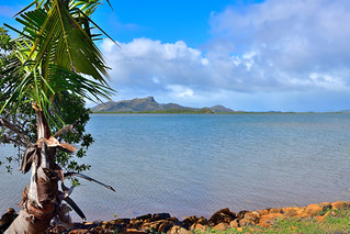 Warf De Tomo, New Caledonia. (Philip Wood Photography)